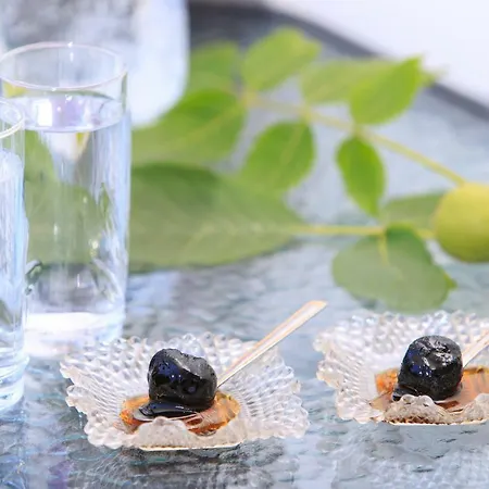 Karydies Appartement *